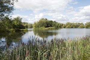 ben bailey redhouse park view from development 3 sm.jpg